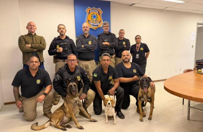 capacitação cães