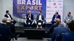 brasil export minas energia nov25